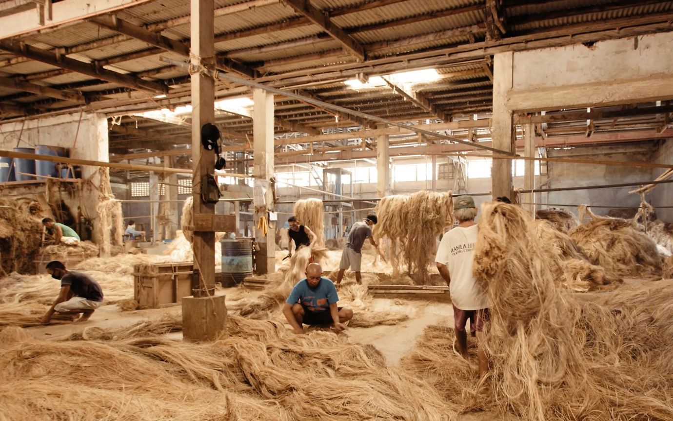 In einer Halle bearbeiten Männer die Fasern der Abacá-Staude.