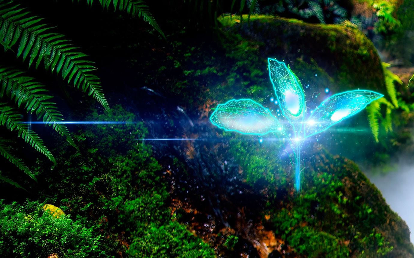 A computer-generated plant grows in a forest environment.