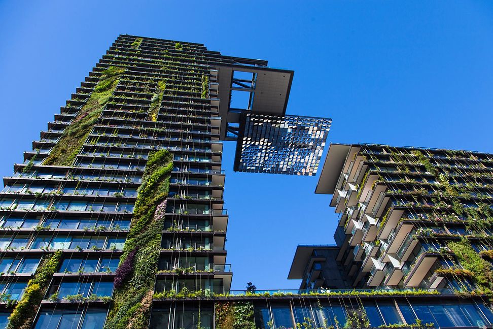 Two urban high-rises have a green façade.