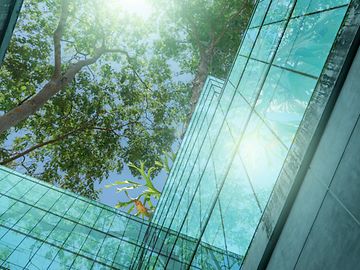 Courtyard of a building with a view of a tree and the sky