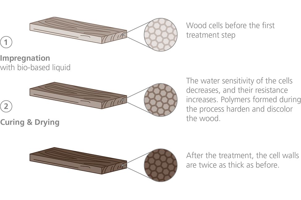 The diagram shows the two steps involved in modifying wood. Impregnation and finishing.