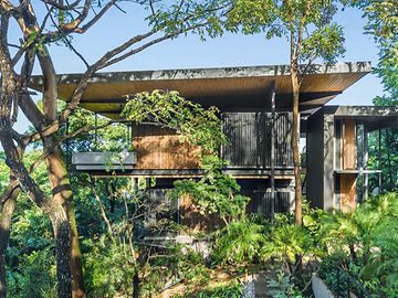 A modern two-storey wooden house nestled in a jungle-like forest, peacefully bathed in morning light.