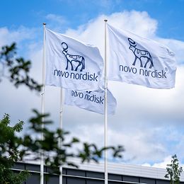 Three flags with Novo Nordisk written on them fly in front of a blue sky.