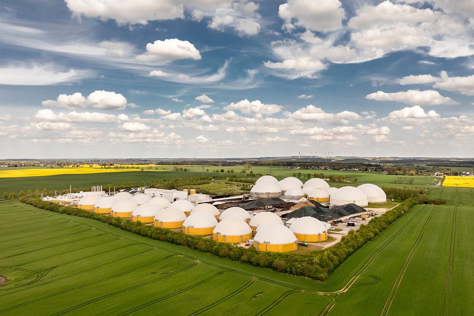 A rural field is dotted with large white and yellow domed structures.