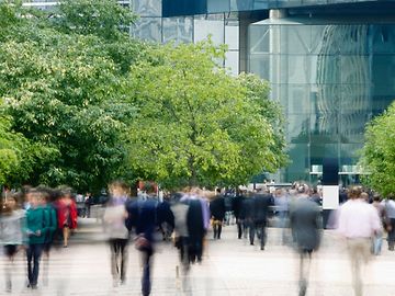 Many people are walking in both directions in an urban, tree-lined pedestrian area.