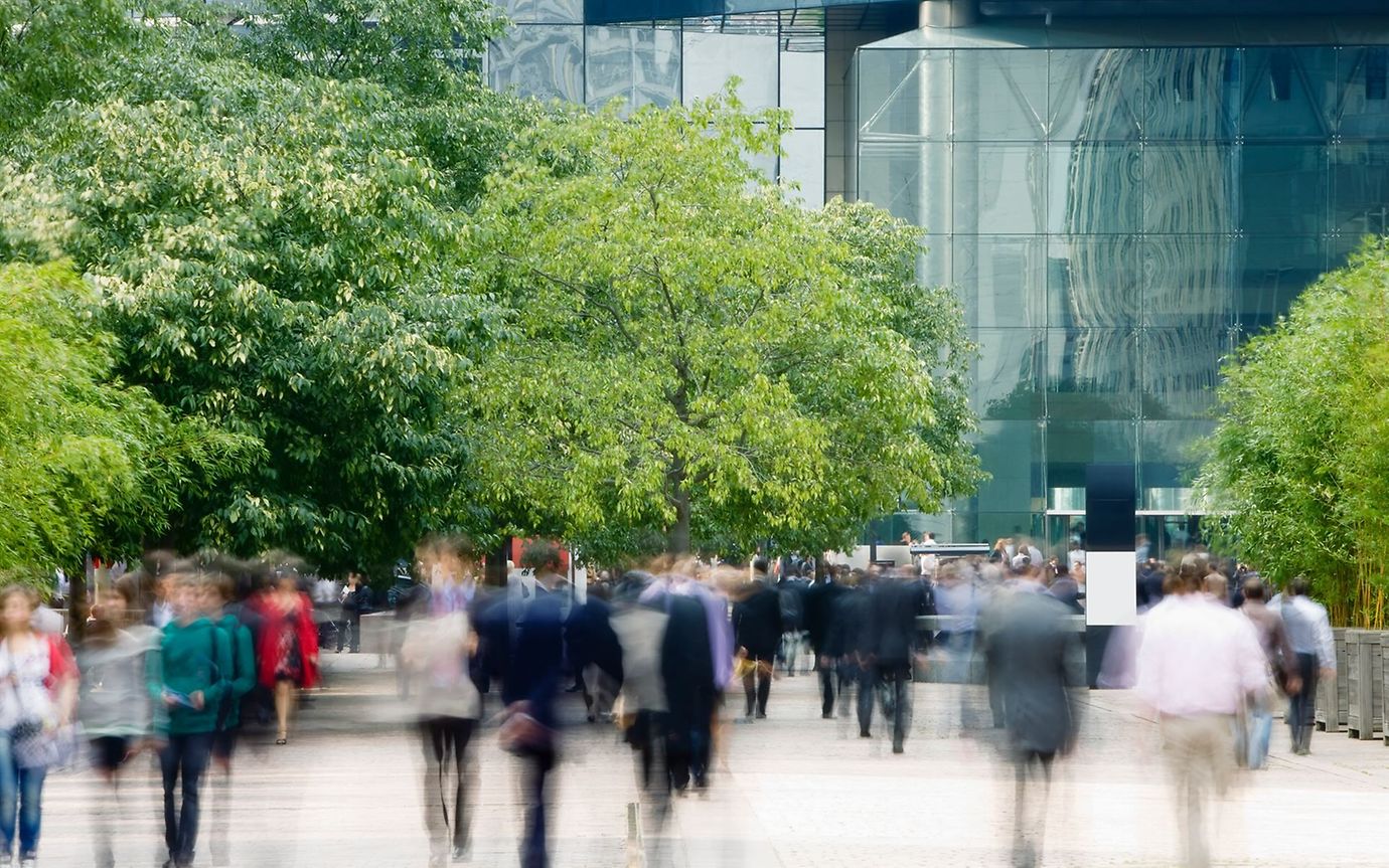 Many people are walking in both directions in an urban, tree-lined pedestrian area.