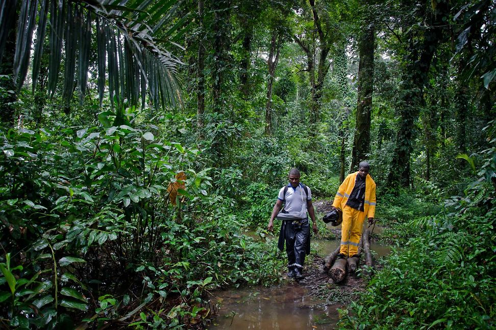 Two men walk along a narrow muddy path in a lush, dense forest.