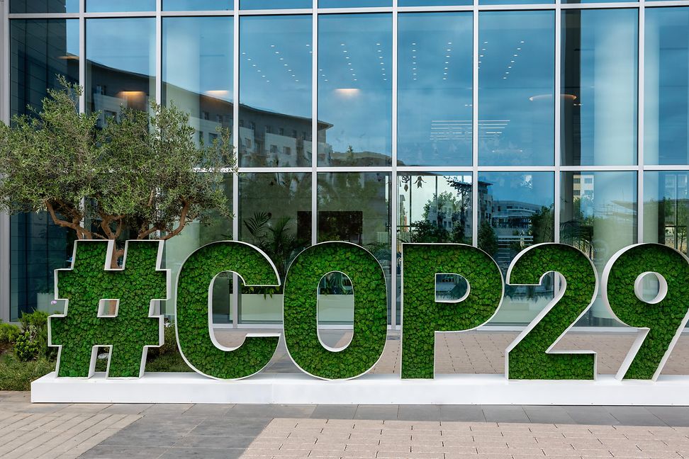 The Strategist COP29