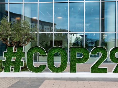 The Strategist COP29