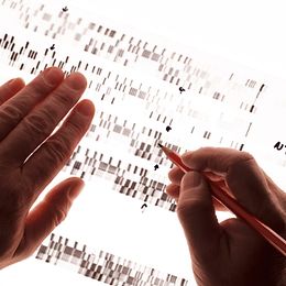 Arbeit an einem Blatt mit DNA-Sequenzen auf einem Leuchttisch. Zu sehen sind nur zwei Hände, die rechte hält einen Stift.