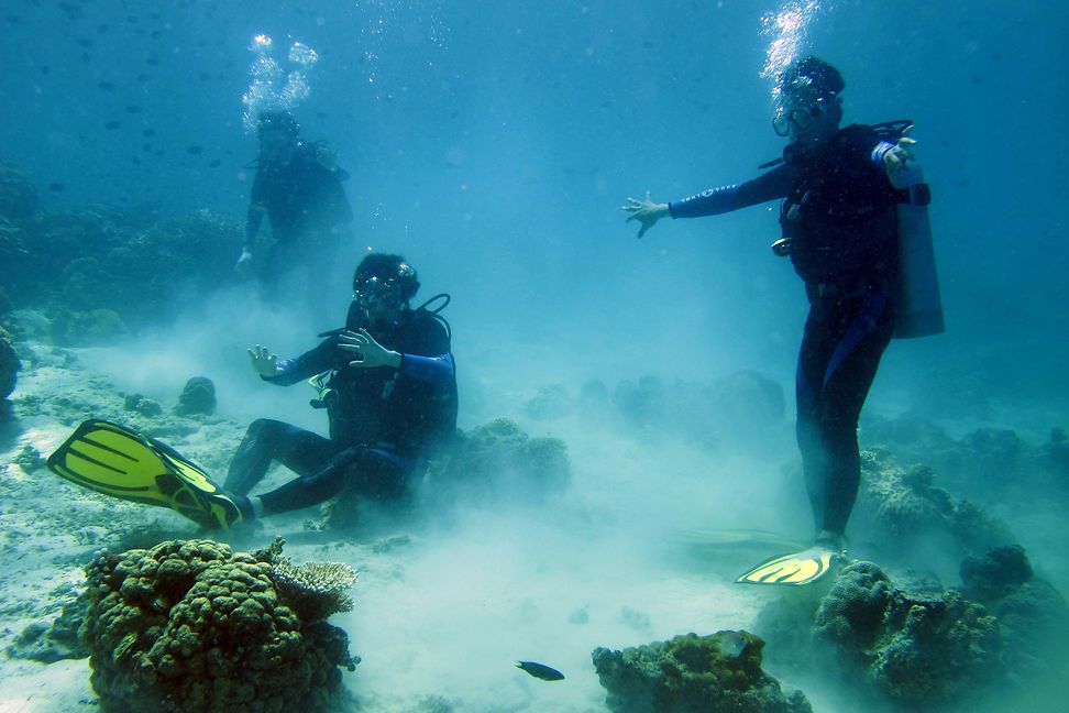 Drei Taucher erkunden den Meeresboden, umgeben von Korallen in schlechtem Zustand, blauem Wasser und aufsteigenden Luftblasen.