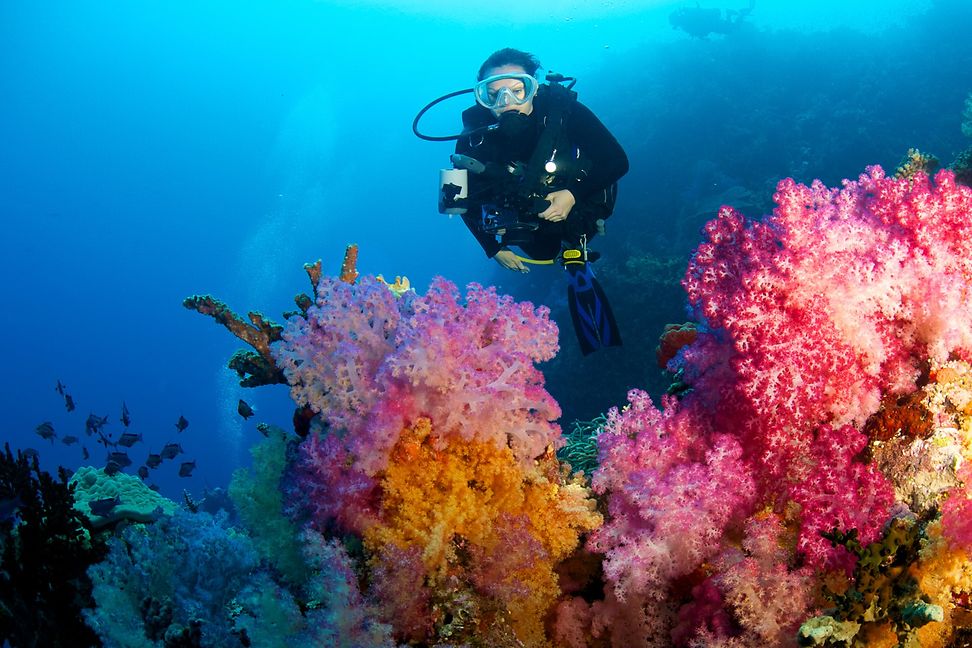 Taucherin schwimmt über bunten Korallen