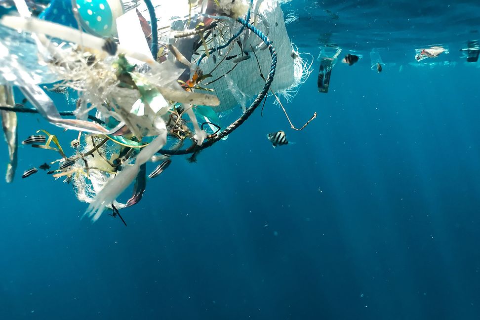 Plastic waste is swimming in the ocean seen from below the surface.